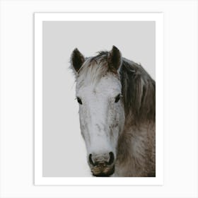 Horse'S Head Art Print