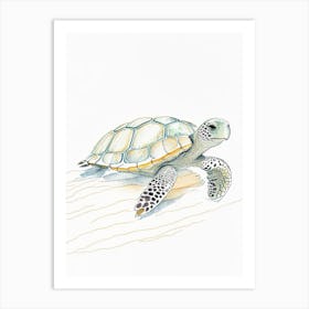 Conservation Sea Turtle, Sea Turtle Pencil Illustration 2 Art Print