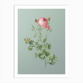 Vintage Celery Leaved Cabbage Rose Botanical Art on Mint Green n.0691 Art Print