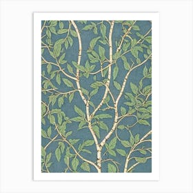 Paper Birch tree Vintage Botanical Art Print