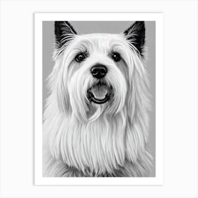 Scottish Terrier B&W Pencil Dog Art Print