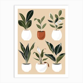 Houseplants In Pots 1 Art Print