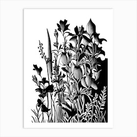 Larkspur Wildflower Linocut 2 Art Print