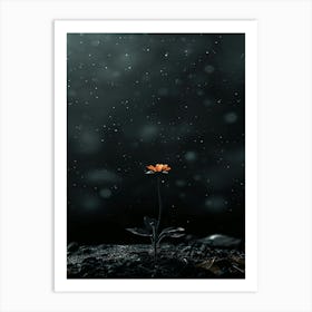 Flower In The Dark 72 Art Print