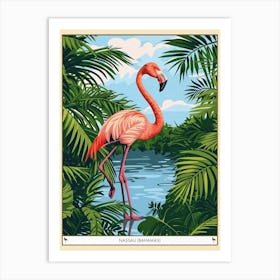 Greater Flamingo Nassau Bahamas Tropical Illustration 4 Poster Art Print