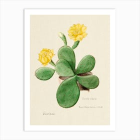 Eastern Prickly Pear Cactus, Familie Der Cacteen Art Print