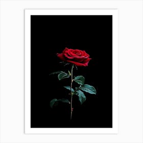 Black Rose 19 Art Print