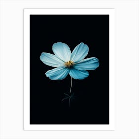 Blue Cosmos Art Print