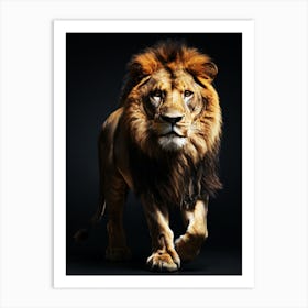 Lion Walking On Black Background Art Print