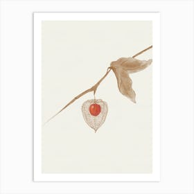 Physalis Groundcherry Watercolor Art Print