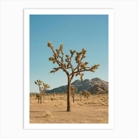 Joshua Tree Moon IV on Film Art Print