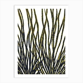 Acropora Millepora Efflorescens Linocut Art Print