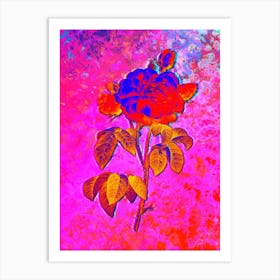 Duchess of Orleans Rose Botanical in Acid Neon Pink Green and Blue n.0284 Art Print