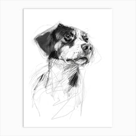 Entlebucher Mountain Dog Charcoal Line 1 Art Print