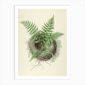 Vintage Illustration Birds Nest Fern 1 Art Print