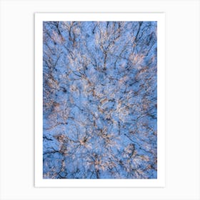 Aerial View Of Trees In Winter Art Print