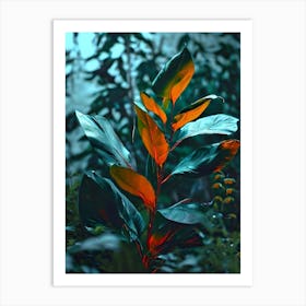 Leaf In The Forest Art Print