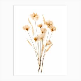 dry flowers Art Print