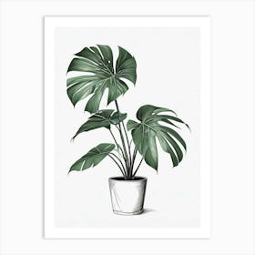 Monstera Obliqua Plant Living Room Art Print (4) Art Print