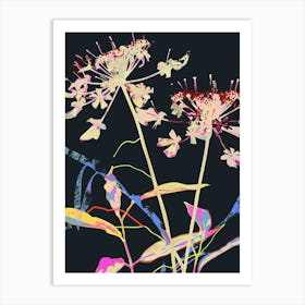 Neon Flowers On Black Queen Annes Lace 4 Art Print