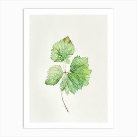 Thimbleberry Leaf Minimalist Watercolour Art Print