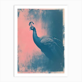 Pink & Blue Peacock Portrait 1 Art Print