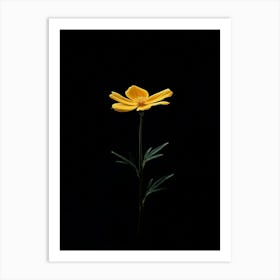 Single Yellow Flower 4 Art Print