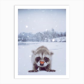 Baby Raccoon Under Snow Art Print