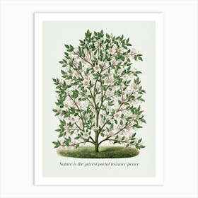 Nature Is the Purest Portal to Inner Peace. Quote and Vintage Tree Art Print