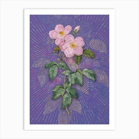 Vintage Tea Scented Roses Bloom Botanical Illustration on Veri Peri n.0393 Art Print