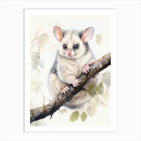 Light Watercolor Painting Of A Common Brushtail Possum 4 Art Print