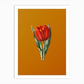 Vintage Gesner's Tulip Branch Botanical on Sunset Orange n.0933 Art Print