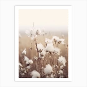 White Cotton Flowers Art Print