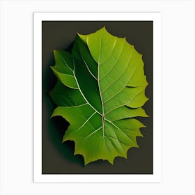Walnuts Leaf Vibrant Inspired 1 Art Print