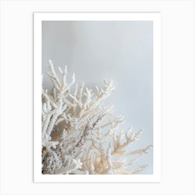 White Corals Art Print