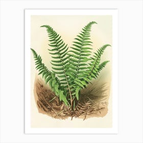 Vintage Illustration Sword Fern 3 Art Print