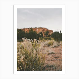 Sagebrush Desert Scenery Art Print