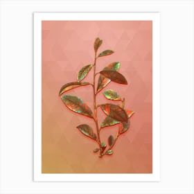 Vintage Grey Willow Botanical Art on Peach Pink n.0445 Art Print