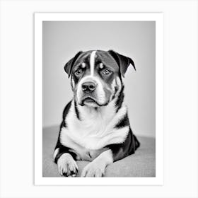 Rottweiler B&W Pencil Dog Art Print