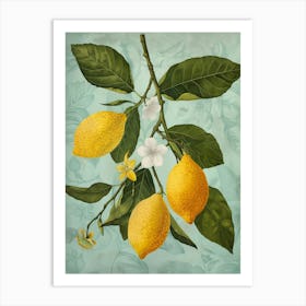 Lemons On A Branch 10 Art Print