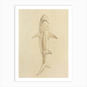 Phoebefy A Pencil Crayon Drawing Of A Shark Centred 1970prese 2195bb1a Fbb7 4268 9d5c 8ad9e61ce27a 3 Art Print