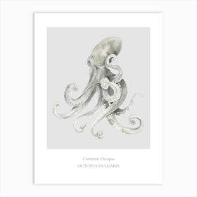 Common Octopus Art Print