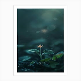 Flower In The Water 1 Art Print