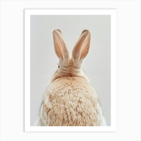 Rabbit On A White Background Art Print