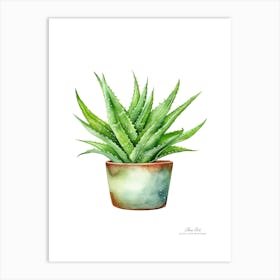 Aloe vera plant. Green plant. Beautiful plant. Thorns plant. Aloe vera flowers.14 Art Print