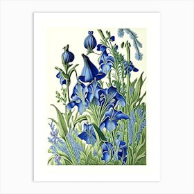 Bluebell 2 Floral Botanical Vintage Poster Flower Art Print