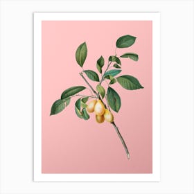 Vintage Plum Botanical on Soft Pink n.0321 Art Print