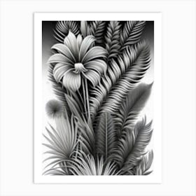 Black And White Tropical Leaves Art Print