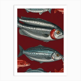 Fishes On A Red Background Art Print