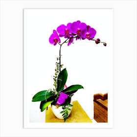 Orchid Art 1 Art Print